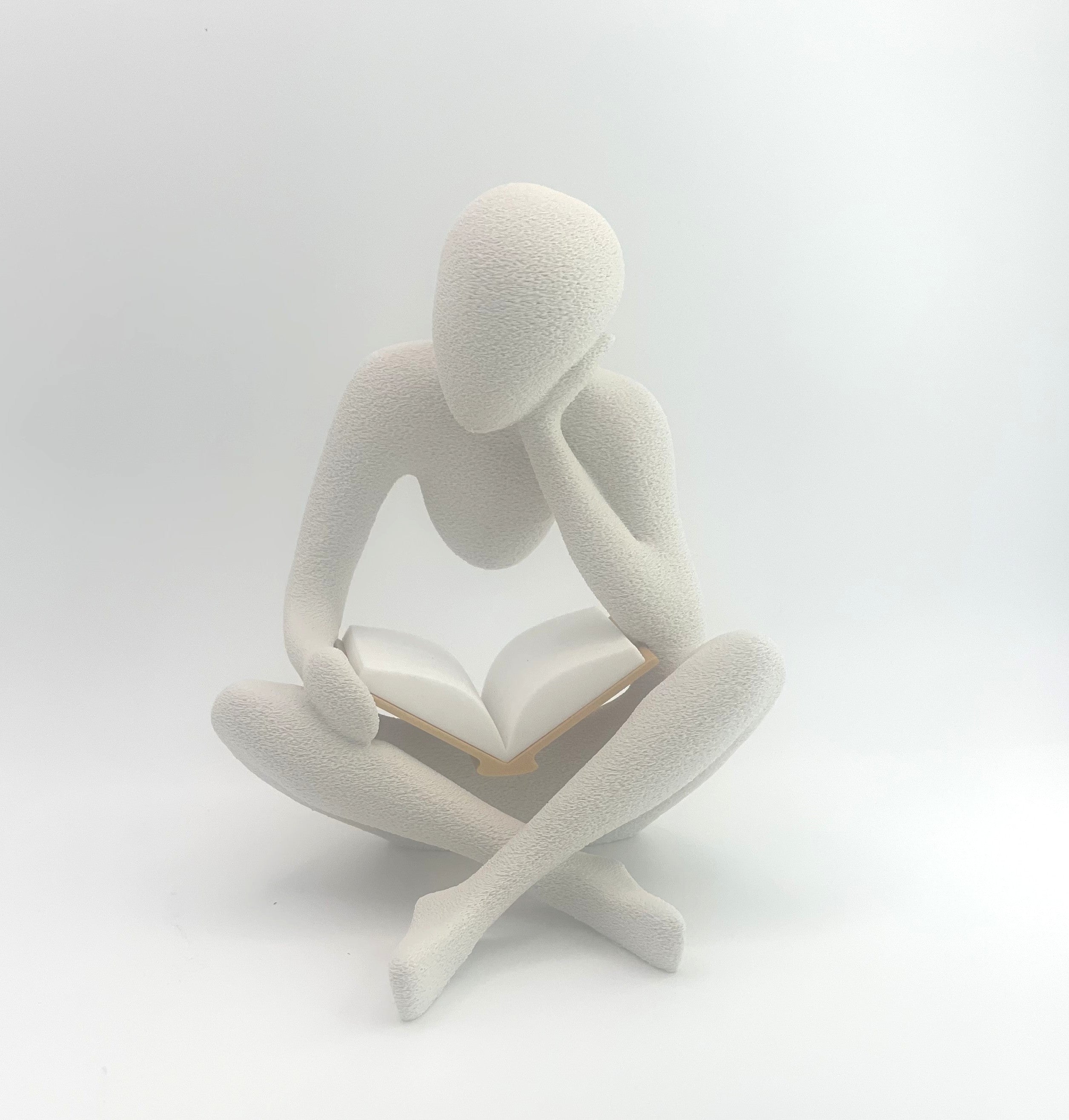 Nobody - The reader